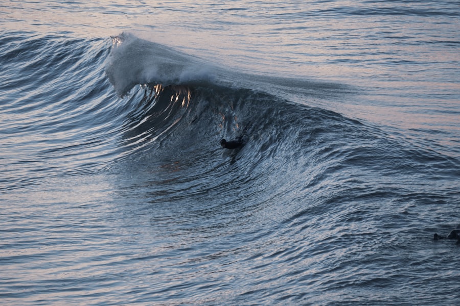 Photo waveaccounting