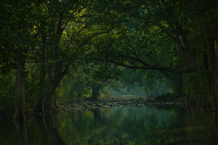 Photo environmental accounting