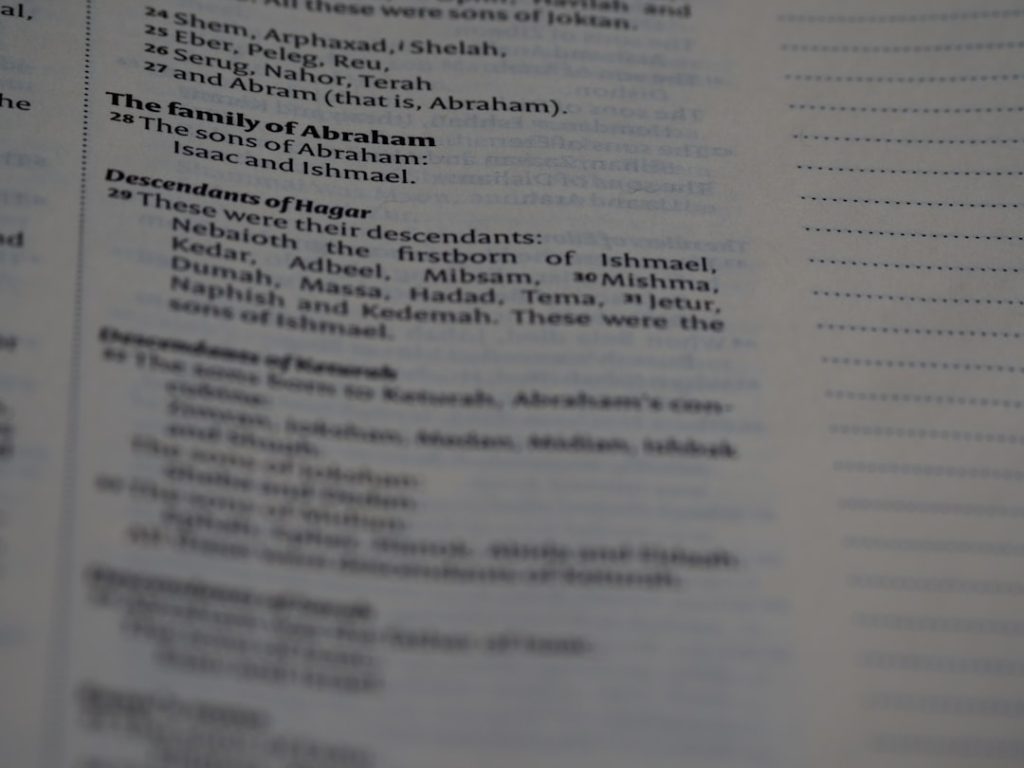 Photo accounting reports