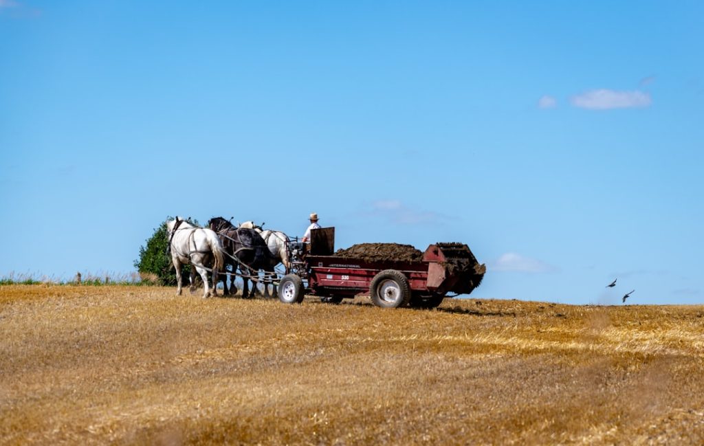 Photo farm accounting software